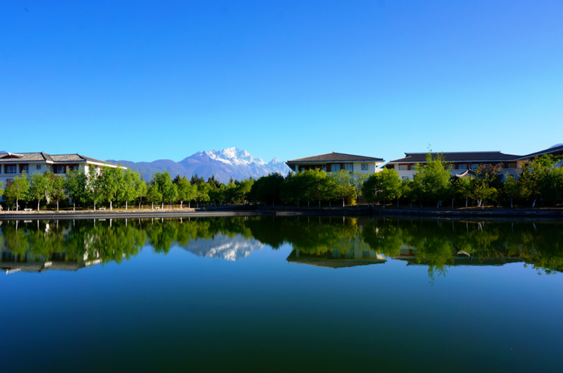 丽江文化旅游学院.png